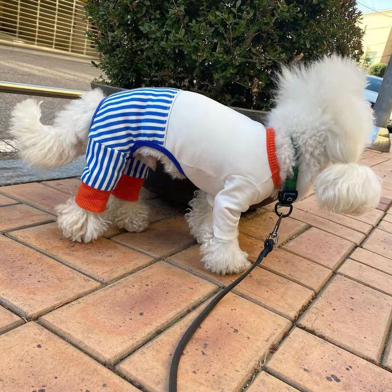 INS Χαριτωμένα ριγέ τετράποδα ρούχα Άτακτο χρώμα που ταιριάζουν σειρά κατοικίδιων ολόσωμη φόρμα για σκύλους Teddy Bichon φόρμα για σκύλους