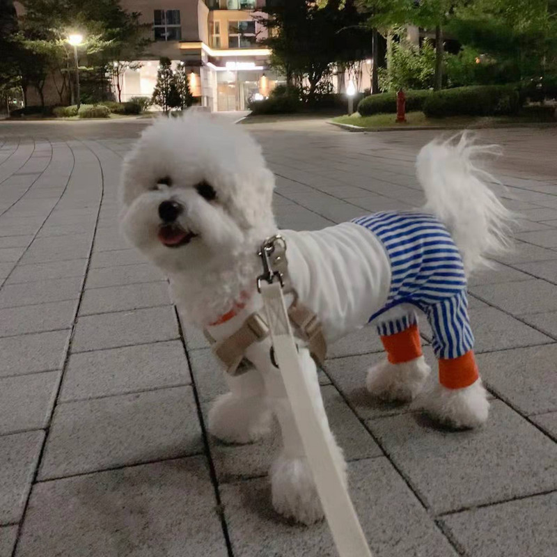 INS Χαριτωμένα ριγέ τετράποδα ρούχα Άτακτο χρώμα που ταιριάζουν σειρά κατοικίδιων ολόσωμη φόρμα για σκύλους Teddy Bichon φόρμα για σκύλους