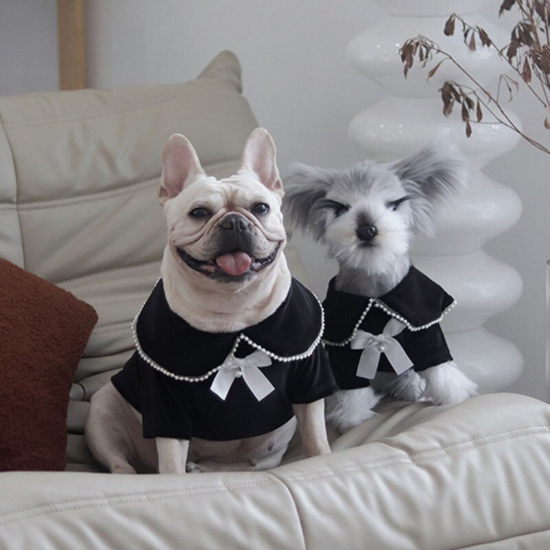 Koerariided Sügis- ja Talvine soojad Prantsuse buldogi šnautseri koerte särk Lady Retro Pearl Velvet koeratopp väikestele ja keskmistele koertele