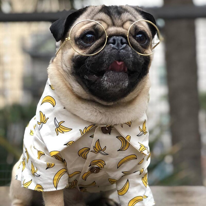 Havajské európske americké jarné a letné francúzske buldočky, šteňatá, mačky, plážové tričko, oblečenie pre psov, blúzka, oblečenie pre domáce zvieratá