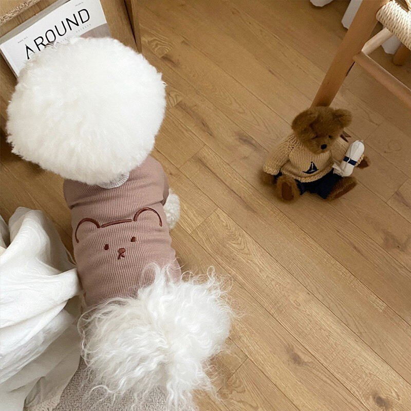 Letné oblečenie pre šteniatka 2022, tričko s potlačou, šaty pre psov a mačky, sukňa, yorkšírsky teriér, medvedík, vesta, Pomeranian, malé až stredné domáce zvieratá