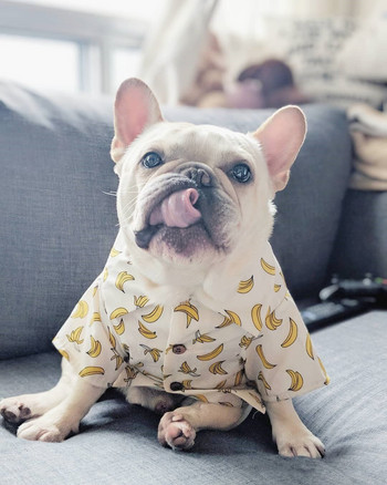 Νέα ρούχα για σκύλους μόδας Χαβάης για την άνοιξη Γαλλικό μπουλντόγκ Corgi Shiba Ρούχα για σκύλους κατοικίδιων ζώων Πουκάμισο τζιν για κατοικίδια για κουτάβια ρούχα για το σπίτι