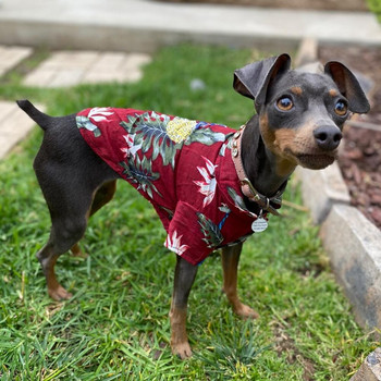 Καλοκαιρινά ρούχα για κατοικίδια Cool Beach Hawaii Casual Πουκάμισα για κουτάβια με κοντό μανίκι δέντρο καρύδας Μικρά και μεσαία ρούχα για σκύλους XS-5XL
