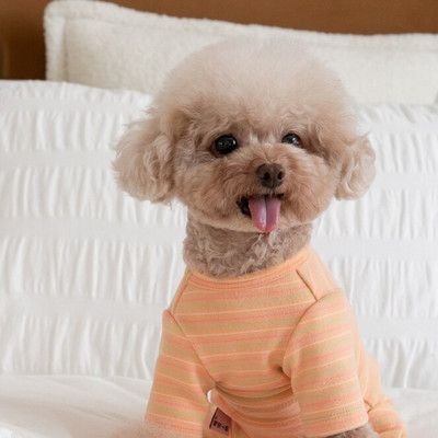 Φθινοπωρινό Χειμώνα Ρούχα για κατοικίδια Ρούχα με τέσσερα πόδια Ρούχα για κατοικίδια Delong Τετράποδα Σπίτι Κοιλιακά Ρούχα Σκύλος Γάτα Κοιλιακά Ρούχα Ζεστά