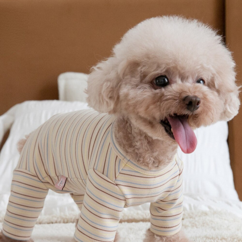Φθινοπωρινό Χειμώνα Ρούχα για κατοικίδια Ρούχα με τέσσερα πόδια Ρούχα για κατοικίδια Delong Τετράποδα Σπίτι Κοιλιακά Ρούχα Σκύλος Γάτα Κοιλιακά Ρούχα Ζεστά