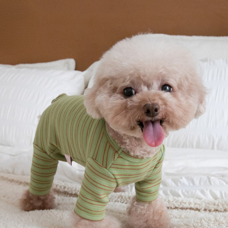 Φθινοπωρινό Χειμώνα Ρούχα για κατοικίδια Ρούχα με τέσσερα πόδια Ρούχα για κατοικίδια Delong Τετράποδα Σπίτι Κοιλιακά Ρούχα Σκύλος Γάτα Κοιλιακά Ρούχα Ζεστά