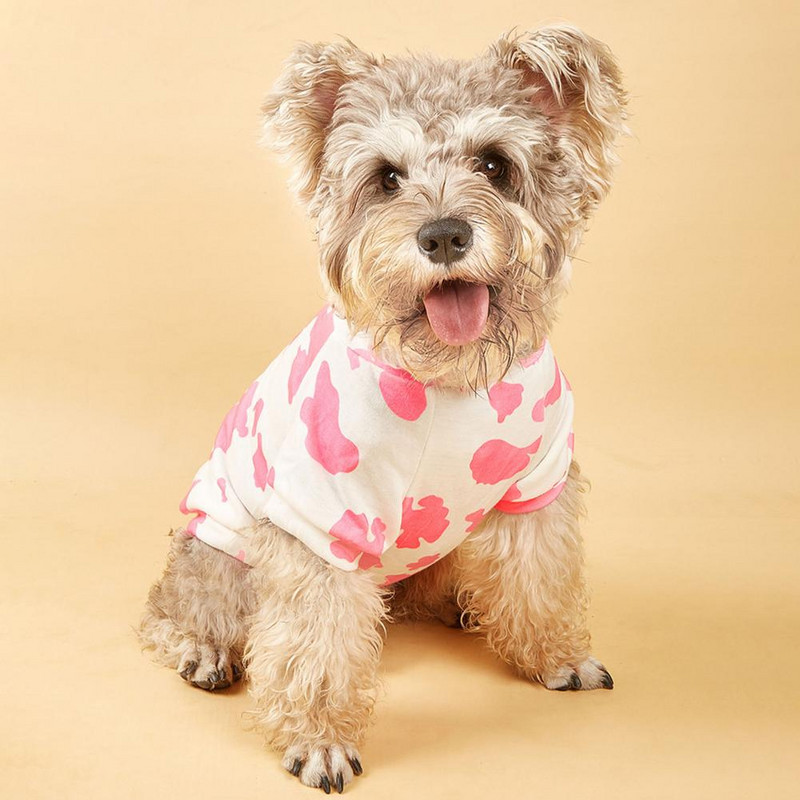 Armas lemmikloomariie, mida on lihtne peale kanda 5 suuruses lemmikloomasärk. Visuaalne kogemus õrn lemmikloomarõivas