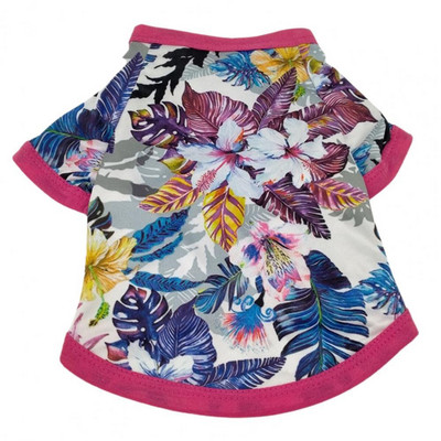 Lemmikloomasärk Pilkupüüdvad lemmikloomariided Taimetrükiga kulumiskindlad lemmikloomariided