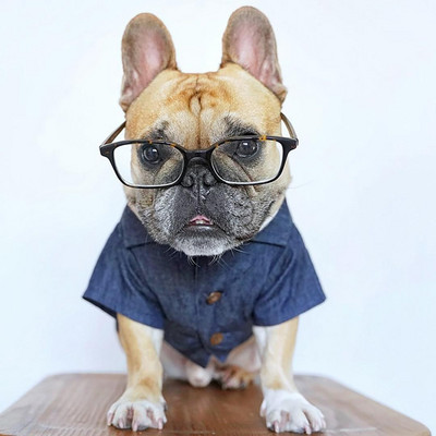 Letné oblečenie pre psov, zelené listy, banánové bavlnené kovbojské tričko pre psov, pre šteniatka, malé a stredné zvieratá, francúzsky buldoček, corgi