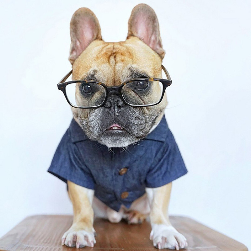 Letné oblečenie pre psov, zelené listy, banánové bavlnené kovbojské tričko pre psov, pre šteniatka, malé a stredné zvieratá, francúzsky buldoček, corgi