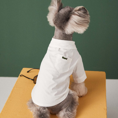 Lemmikloomade riided Uus valge särk Teddy šnautser Bichon Dog Small Tide kahejalgsed riided Lemmikloomade riided väikestele koertele Basic Summer Bulldog