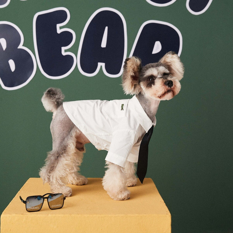 Oblečenie pre domáce zvieratá Nové biele tričko Teddy Schnauzer Bichon Dog Malé Tide Biped oblečenie Oblečenie pre domáce zvieratá pre malé psy Základné letné Bulldog