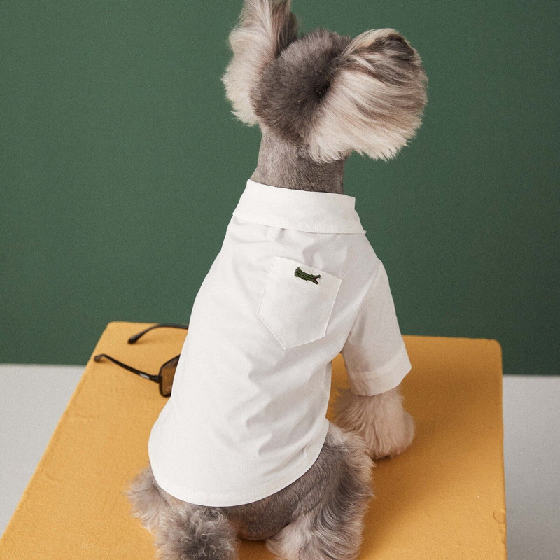 Oblečenie pre domáce zvieratá Nové biele tričko Teddy Schnauzer Bichon Dog Malé Tide Biped oblečenie Oblečenie pre domáce zvieratá pre malé psy Základné letné Bulldog