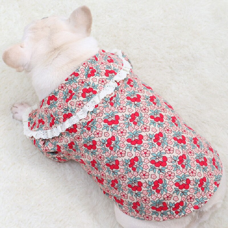 Haine pentru buldog francez XXL, primăvară, toamnă, îmbrăcăminte pentru câini, cămașă, pudel, schnauzer pomeranian, costum de corgi galez, ținută 2021 nou