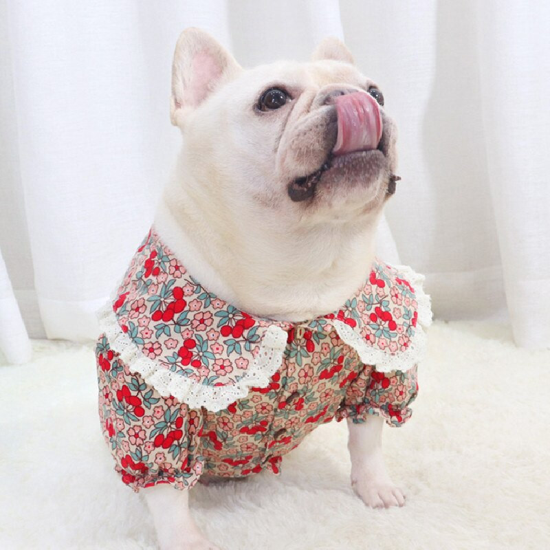 Haine pentru buldog francez XXL, primăvară, toamnă, îmbrăcăminte pentru câini, cămașă, pudel, schnauzer pomeranian, costum de corgi galez, ținută 2021 nou