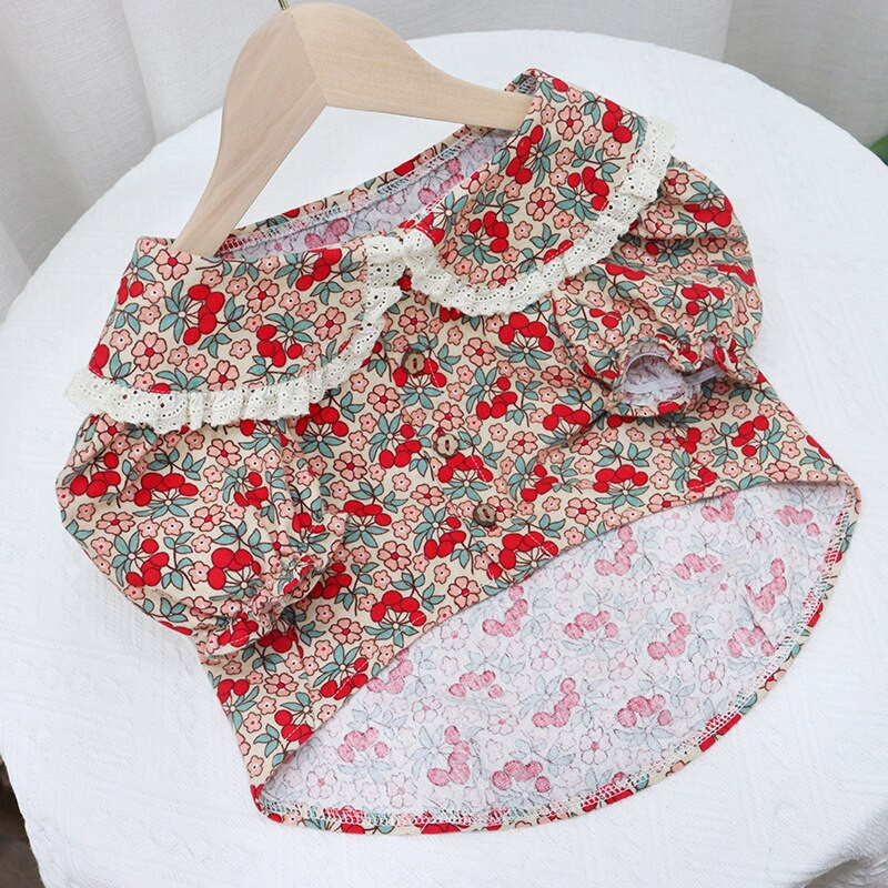 Haine pentru buldog francez XXL, primăvară, toamnă, îmbrăcăminte pentru câini, cămașă, pudel, schnauzer pomeranian, costum de corgi galez, ținută 2021 nou