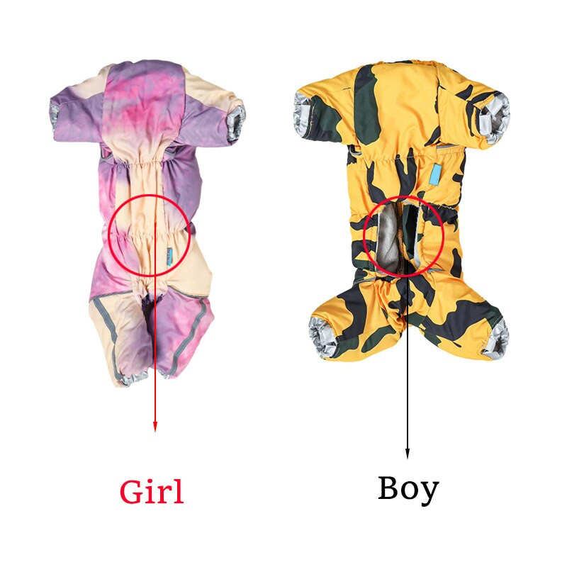 Talvised lemmikloomade koerte riided, kostüümid, fliisist helkurjakk väikestele keskmistele koertele Chihuahua shih tzu komplekt