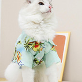 Μόδα παλτό γάτας Πολλαπλών χρωμάτων Στολή για γάτα απαλή υφή Αντι-ξεθώριασμα πολύχρωμα ρούχα για γατάκια Polo