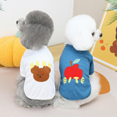 Lemmiklooma T-särk Kassiriided Ümara kaelaga ühevärviline armas karu/puuvilja mustriga koer kevadeks