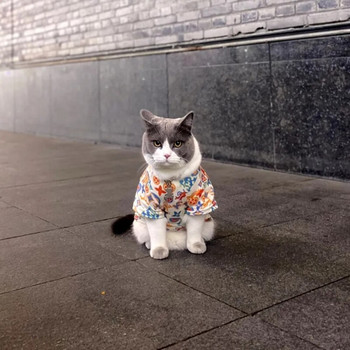 Μόδα πουκάμισο με ψηλό γιακά Ρούχα σκυλιών Kawaii Μικρά σκυλιά Ρούχα γάτας Άνοιξη Φλις Φλις Κοστούμια Προϊόντα για κατοικίδια