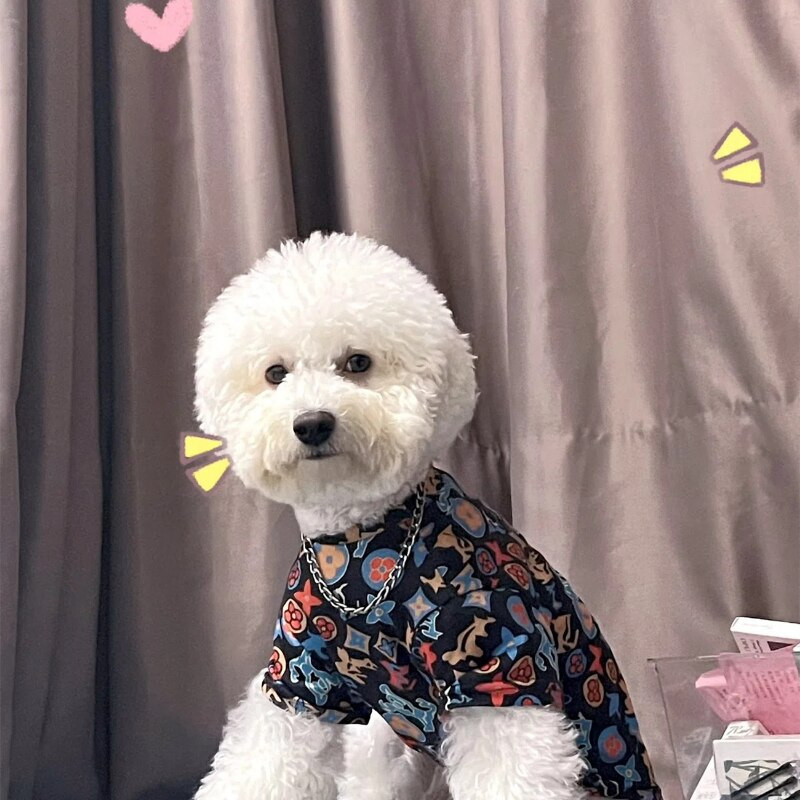 Moodne kõrge kraega särk Koerte riided Kawaii Euroopa stiilis Väikeste koerte rõivad Kasside kevad-sügis fliisist kostüüm Lemmikloomatooted