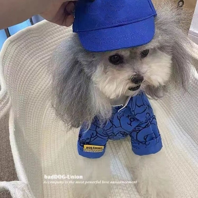 Πουκάμισα Klein Blue Bear Ρούχα για σκύλους Μόδα κουταβιών Μικρά σκυλιά Ρούχα για γάτα Άνοιξη φθινόπωρο Kawaii Στολή για αρκουδάκια Χαριτωμένα προϊόντα για κατοικίδια