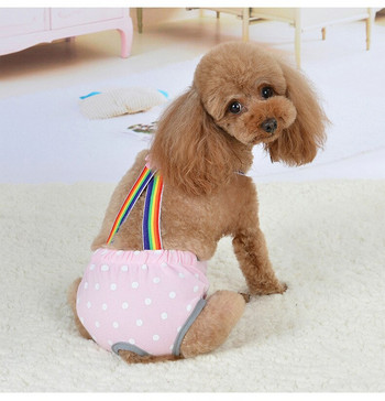 Тиранти за кучета Физиологични панталони Теди Голдън ретривър Менструални хигиенни пелени за кучета Анти-тормоз Панталони за леля за домашни любимци
