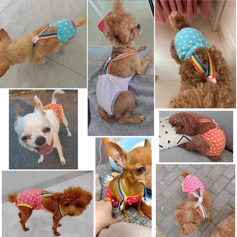 Traky pre psov Fyziologické nohavičky Teddy Zlatý retriever Menštruačné hygienické plienky pre psov Proti obťažovaniu Nohavičky pre domáce zvieratá