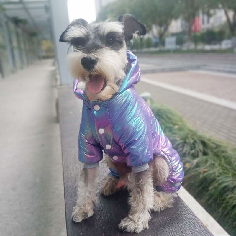 Uued värvilised talveriided väikestele koertele kutsikate veekindel suusajope Yorkiesile. Soe koerte kombinesoon riietus lemmikloomade kostüüm