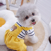 Žlté nohavice s medveďom, zimný overal pre psa s čiernym pruhovaným tričkom, šteniatka Yorkshire, malé zvieratá, jesenný overal pre domáce zvieratá, oblečenie, odevy, tovar