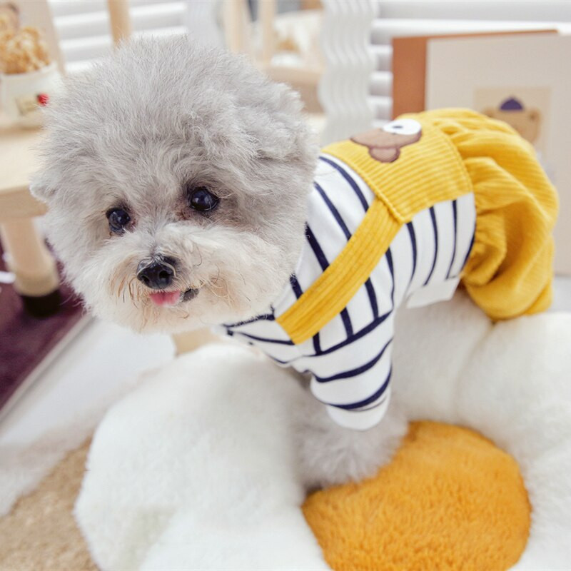 Žlté nohavice s medveďom, zimný overal pre psa s čiernym pruhovaným tričkom, šteniatka Yorkshire, malé zvieratá, jesenný overal pre domáce zvieratá, oblečenie, odevy, tovar
