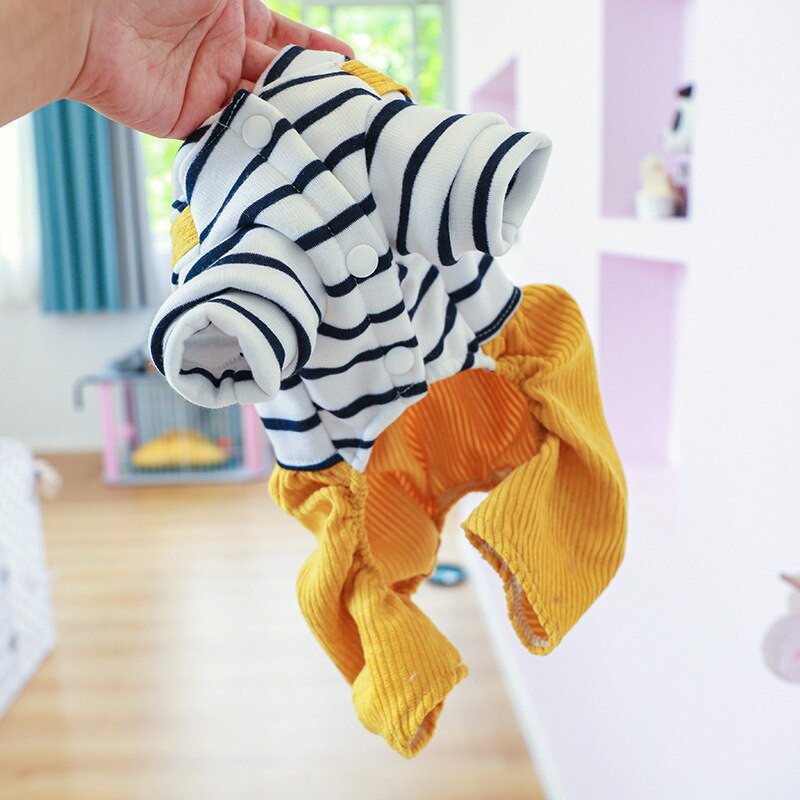 Žlté nohavice s medveďom, zimný overal pre psa s čiernym pruhovaným tričkom, šteniatka Yorkshire, malé zvieratá, jesenný overal pre domáce zvieratá, oblečenie, odevy, tovar