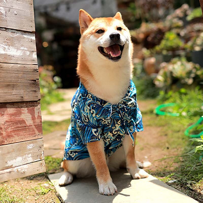 Cămașă pentru câini în stil japonez Kimono pentru animale de companie Wave Pisică Haine pentru câini Cățeluș Cardigan Bulldog francez Bichon Chihuahua Doberman