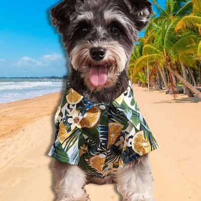 Kulumiskindel kerge suvepuuviljadega Hawaii Print Print koerakassi pluus välitingimustes