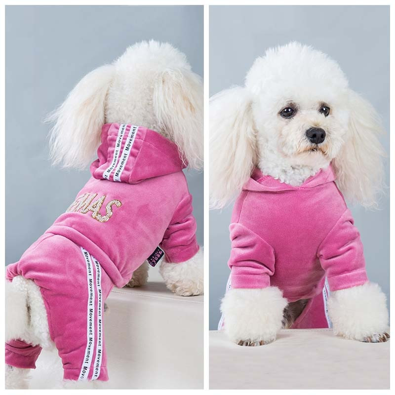 2020. aasta uus sametist lemmikloomade koerte kapuuts Neljajalgsed kombinesoonid koertele Sügistalvine kutsika Koerariided Vabaaja kostüüm Yorkiesile 20E