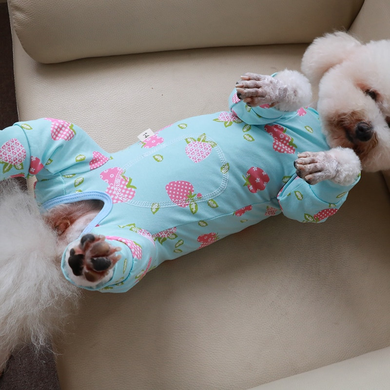 Salopetă pentru câini de companie, 100% bumbac, cu imprimeu subțire, pentru câinii de talie mică, pijamale pentru protejarea burticii, haine pentru cățeluși, hanorac chihuahua