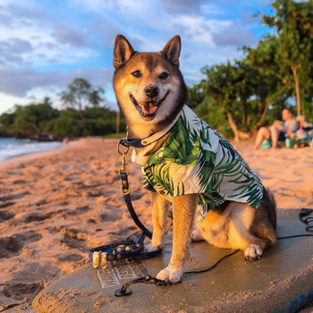 Летни дрехи за домашни любимци Мода Европейски и американски цветя Хавайско кученце Котешки ризи Ежедневни дрехи за кучета Домашно облекло за малки кучета