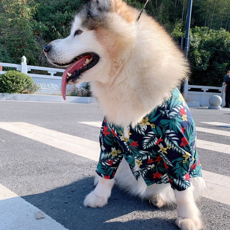 Suur koerasärk Suvine lemmikloomakoerte riided Väikeste koerte kostüümid Kassipuudel Pommeri corgi samojeedi husky kuldse retriiveri rõivad