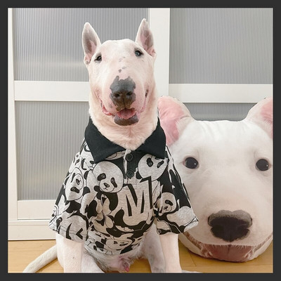 Koerasärk Mops Prantsuse buldog Corgi Shiba Inu Ameerika Bully Pitbull Bull Terrier Riided Samojeedi Husky Kuldse Retriiveri rõivad