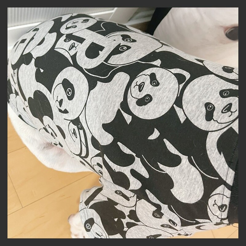 Šuns marškinėliai Mopsas Prancūzų buldogas Korgis Šiba Inu Amerikiečių bully Pitbull Bull Terrier Drabužiai Samojedo haskio auksaspalvio retriverio drabužiai