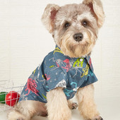 Πουκάμισο για σκύλους Φούτερ για κατοικίδια με στάμπα κινούμενων σχεδίων Dinosaur Breathable Streetwear Ρούχα για γάτες Μικρό πουκάμισο για σκύλους δροσερό για την άνοιξη και το καλοκαίρι