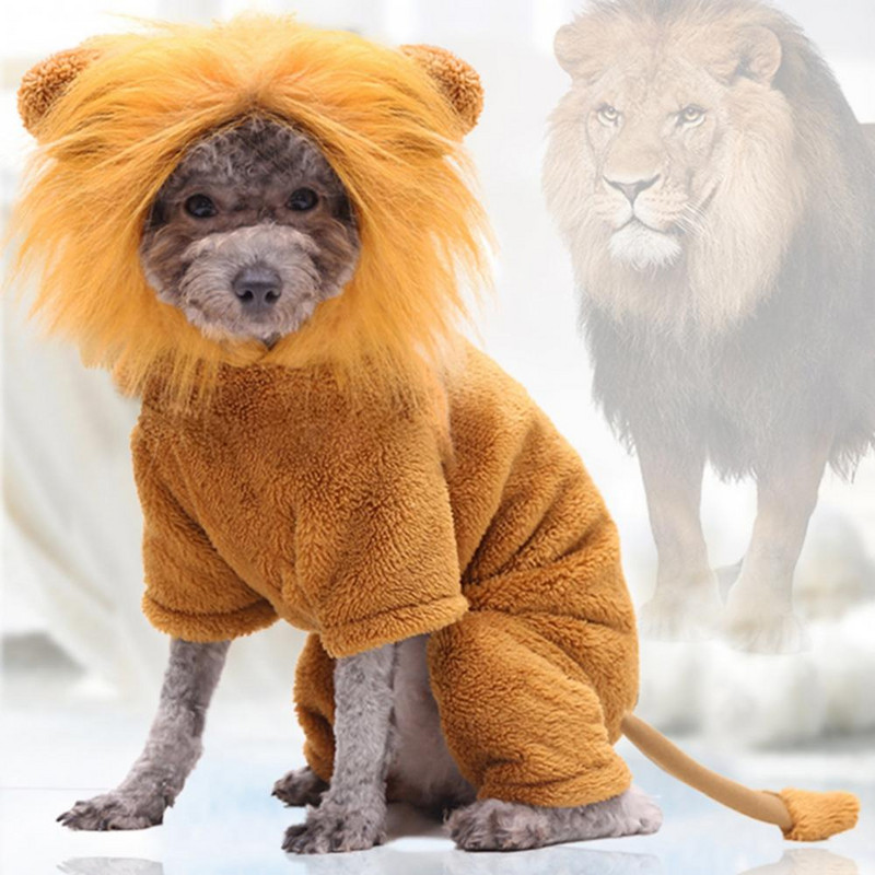 Rudens žiemos kačių augintinis keturkojis vilnonis megztinis gyvūnas transformuojantis šunį drabužiai megztiniai Kombinezonai Striukė naminių gyvūnėlių reikmenys šunims