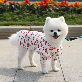 Παλτό εσώρουχο σκύλου Γάτα Μικρό και μεσαίο σκυλί Teddy Bichon Jarre Aero Bull Προμήθειες για ρούχα για κατοικίδια την άνοιξη και το φθινόπωρο Cherry