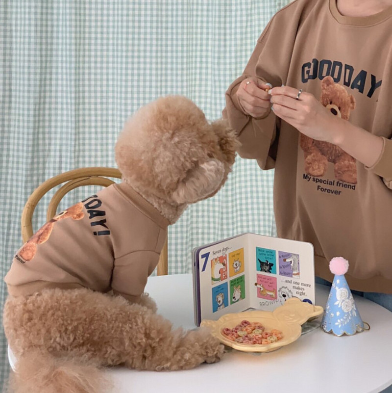 Sügistalvise kutsika kapuutsiga riided Cartoon Bear T särk Vest kassi kampsun taskuga Big Dog Sportsärk Lemmikloom Vest Lemmikloomade riided