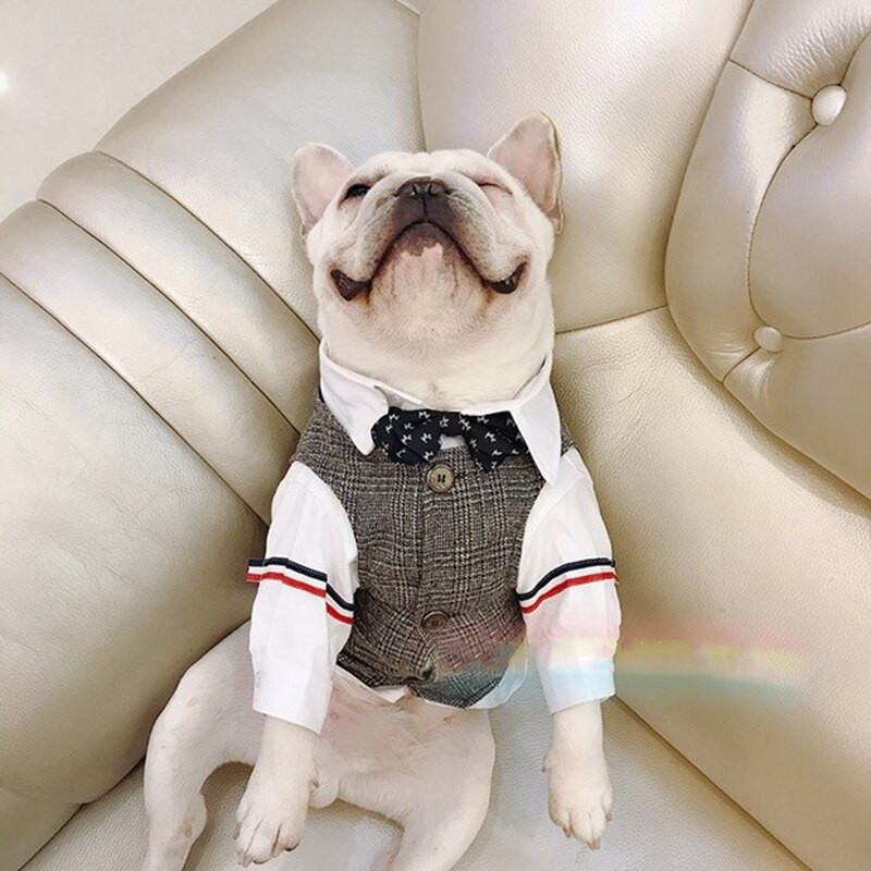 Letné oblečenie pre psov, tričko, oblečenie pre malé a stredné psy, kabát, mačku, bradáča, vestu, kostýmy, francúzsky buldoček, mops, BNC05
