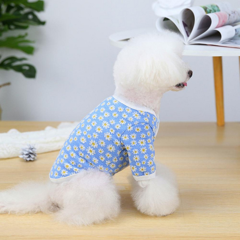 Koerariided Mittekahanevad Unisex tuulekindel kutsikas Kahe jalaga kudumid Lemmiklooma kodurõivad igapäevaseks kandmiseks