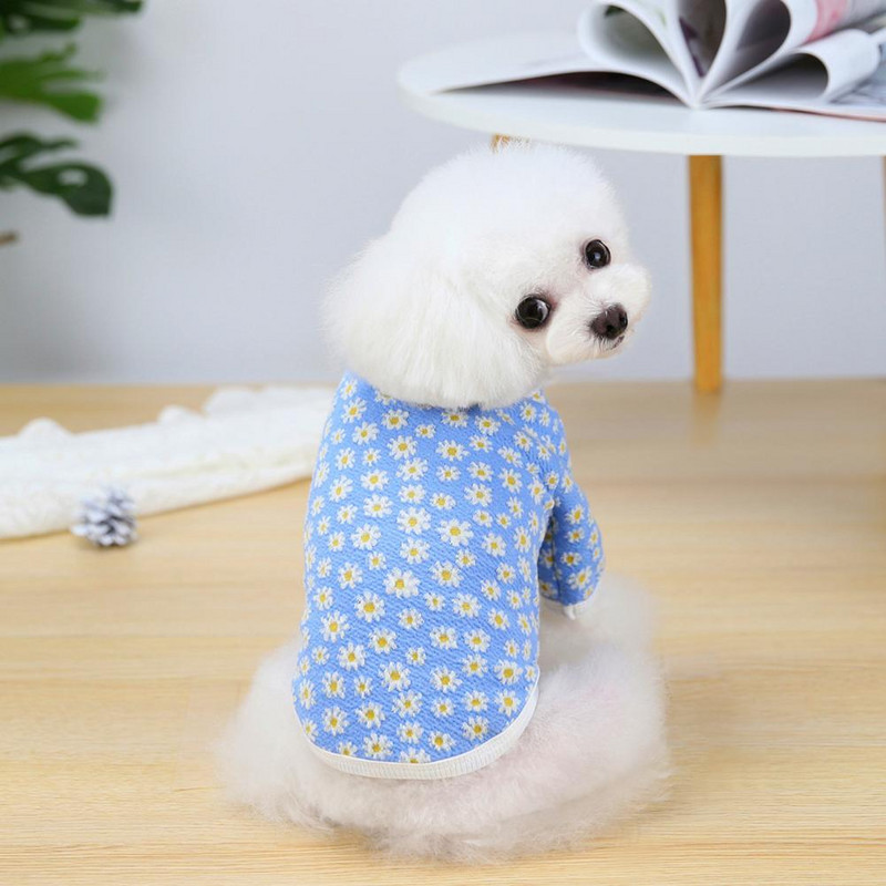 Koerariided Mittekahanevad Unisex tuulekindel kutsikas Kahe jalaga kudumid Lemmiklooma kodurõivad igapäevaseks kandmiseks