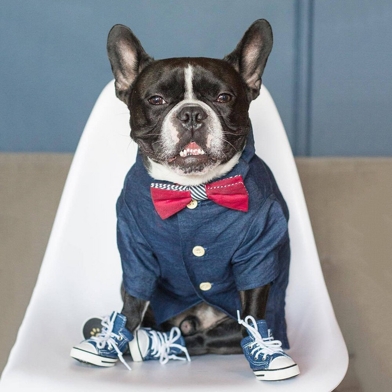 Dizajnové oblečenie pre psov pre malých psov, letné oblečenie, roztomilé tričko pre domáce zvieratá, doplnky pre psov, potreby pre domáce zvieratá, oblečenie pre mopsov, francúzskych buldočkov...