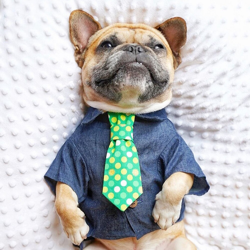 Dizajnové oblečenie pre psov pre malých psov, letné oblečenie, roztomilé tričko pre domáce zvieratá, doplnky pre psov, potreby pre domáce zvieratá, oblečenie pre mopsov, francúzskych buldočkov...