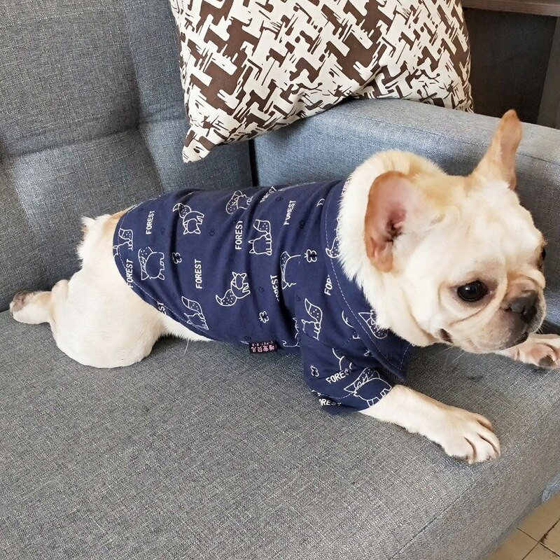 Nové jesenné a zimné oblečenie, bavlnené tričko, verzia Plus Fat, oblečenie s dvoma nohavicami